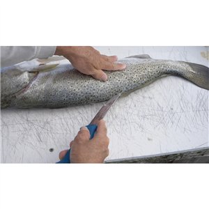 AquaTuff Curved Boning