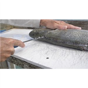 AquaTuff Curved Boning