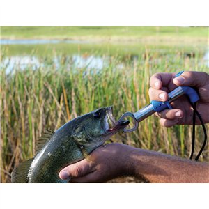 Fish Lip Gripper