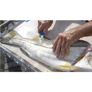 AquaTuff Fillet Knife