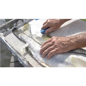 AquaTuff Fillet Knife