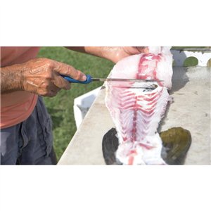 AquaTuff Fillet Knife