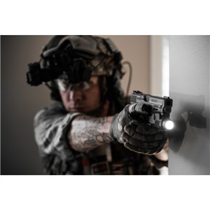 Rail Master Tactical Light