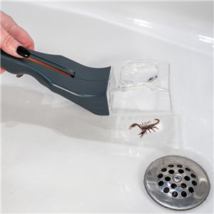 Humane Bug Catcher Tool