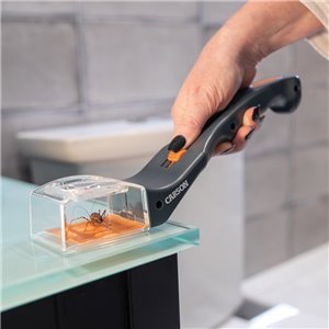 Humane Bug Catcher Tool