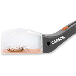 Humane Bug Catcher Tool