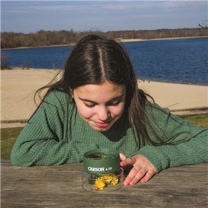 Bug Loupe Stand Magnifier