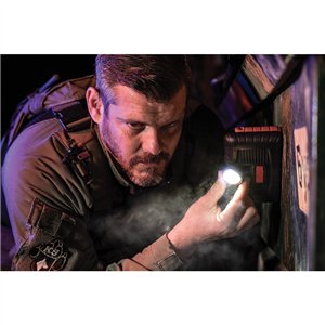 PM310 Dual Power Work Light