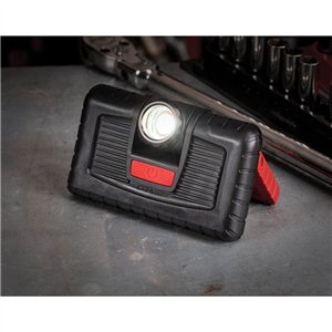PM310 Dual Power Work Light