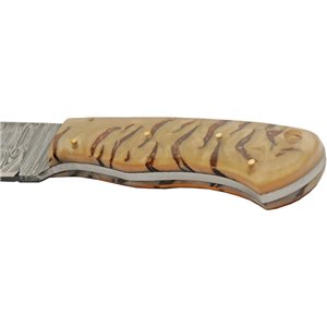 Diamond Dust Pine Hunter