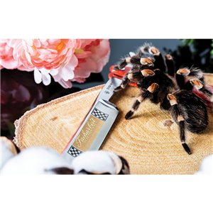 Facharbeit 6/8in Straight Razo