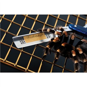 Facharbeit 6/8in Straight Razo