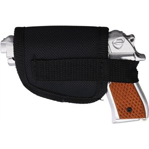 Pistol Linerlock A/O SW