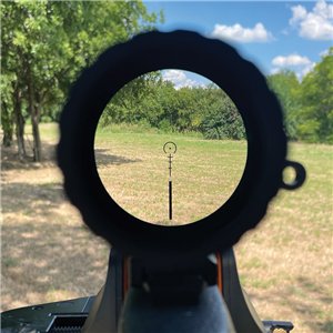 Rapidstrike 1-10x24 Riflescope