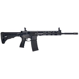 ET Arms Inc ETAGA1556ML10   223 Rem5.56 NATO