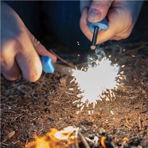 Companion Spark Blue