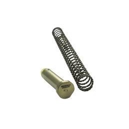 Geissele Automatics 05495 Super 42 Buffer Spring and Buffer Combo