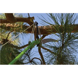 Extendable Pole Saw