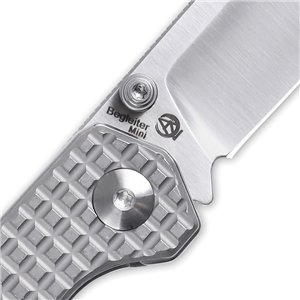 Begleiter Mini Linerlock