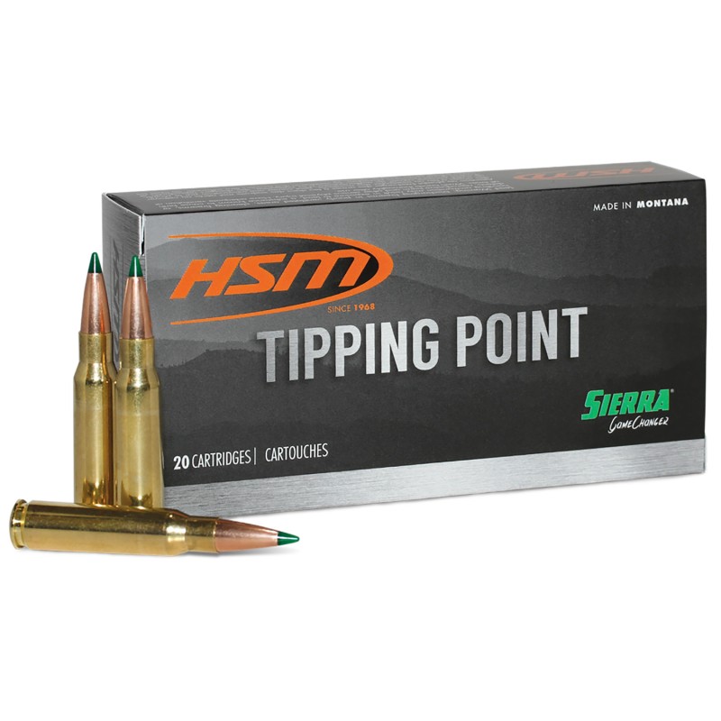 HSM 6ARC2N Tipping Point Super Shock Tip 6mm ARC 95 gr 20 Per Box 25 Case