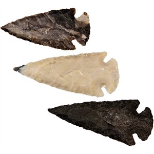 Arrowhead Assortment - Medium
