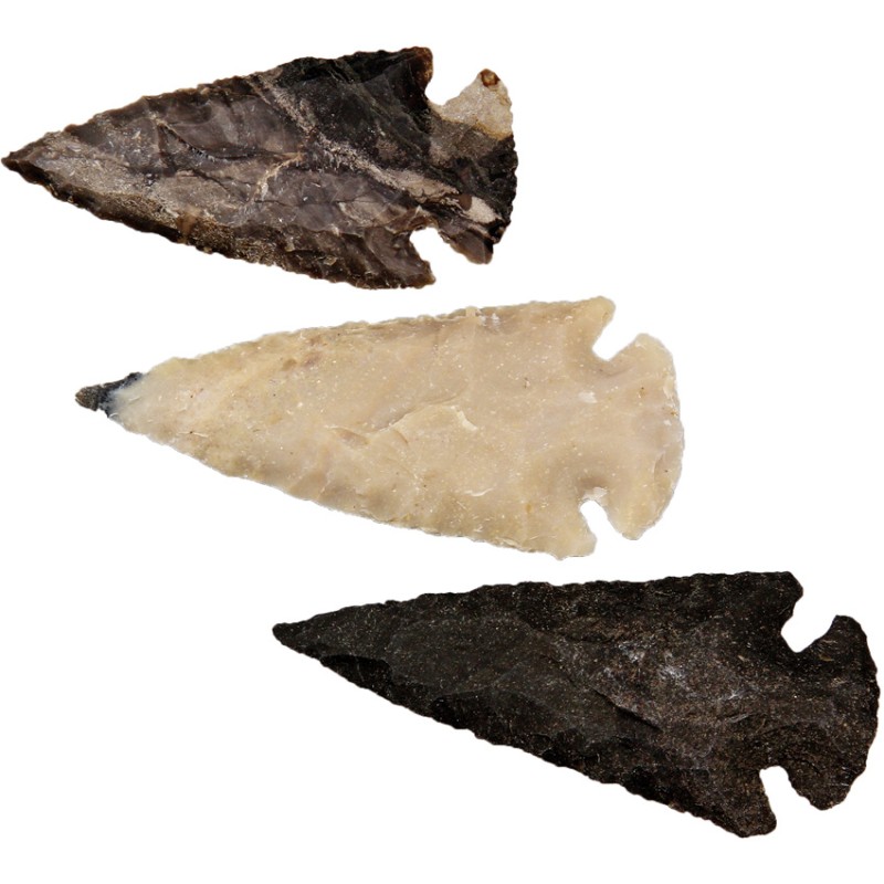 Arrowhead Assortment - Medium