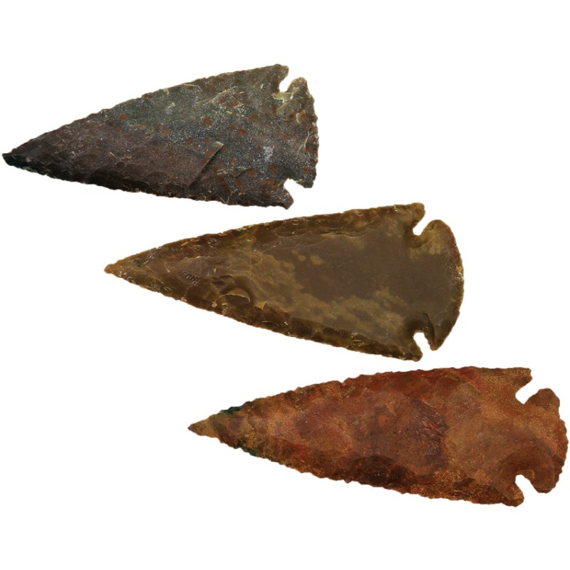 Arrowhead Assortment - Large