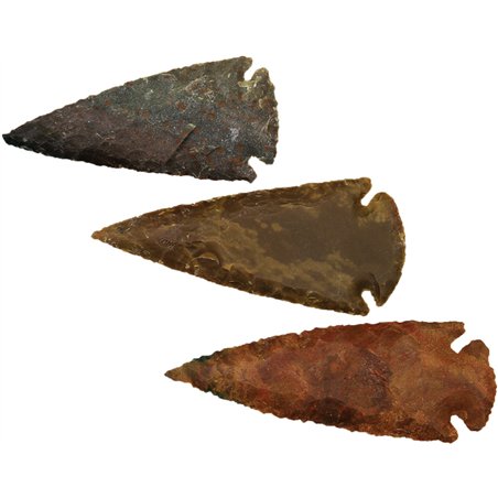Arrowhead Assortment - Large