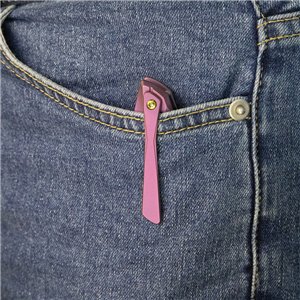 Nova Framelock Purple