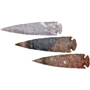 Arrowhead Assortment - XL