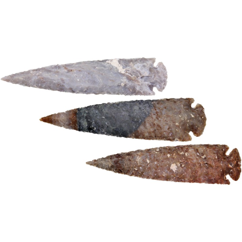 Arrowhead Assortment - XL