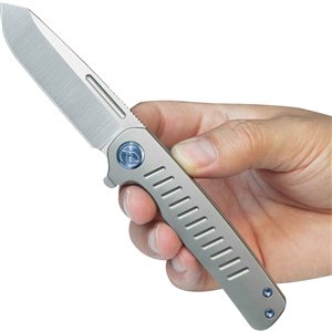 Steelhead Linerlock Gray Ti