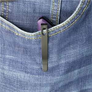 Nautilus Linerlock Purple