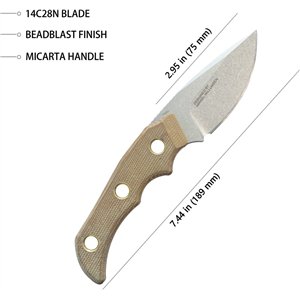 Willumsen DP Hunter Brown