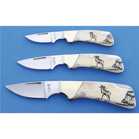 Kershaw Scrimshaw Ram Set.
