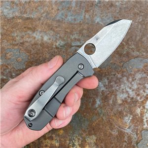 Spyderco Standard Clip