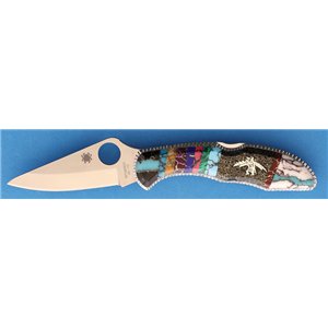 Brian Yellowhorse Dancer