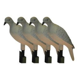 Mojo Outdoors HW9004 Clip On  Dove Species Natural Plastic 4 Per Pack