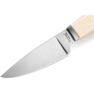 Willy Fixed Blade Ivory
