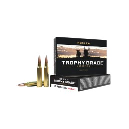 Nosler 60098 Trophy Grade  33 Nosler 225 gr Nosler AccuBond 20 Per Box 10 Case