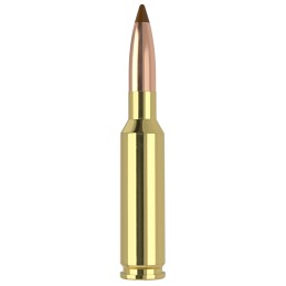 Nosler 61053   6.5x55 Swedish 140 gr Ballistic Tip 20 Per Box 10 Case