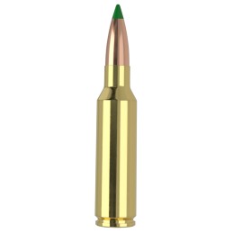 Nosler 61035   300 WSM 165 gr Ballistic Tip 20 Per Box 10 Case