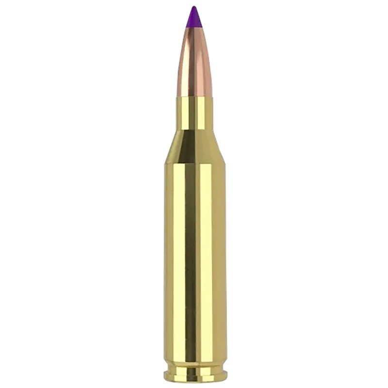 Nosler 40041   243 Win 70 gr Ballistic Tip Varmint 20 Per Box 10 Case