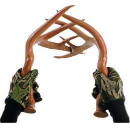 Primos 710 Fightin Horns  Attracts Deer Brown Polymer