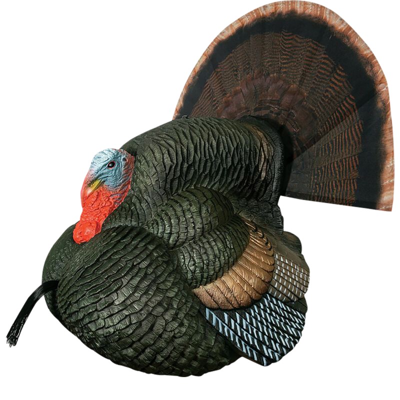 Primos 69076 Lil Gobblestopper Strutter Box Call Turkey Sounds