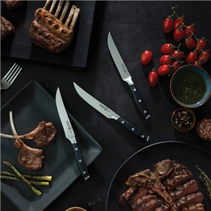 Avanta Steak Knife Set
