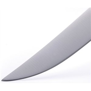 Avanta Steak Knife Set