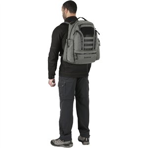 Lassen Backpack Wolf Gray