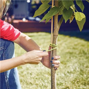 Gear Tie 12in Pro Pack