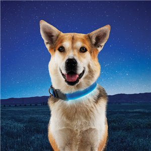 LED Dog Collar